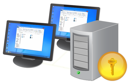 Network license offers floating concurrent licenses and roaming licenses for corporate environments.